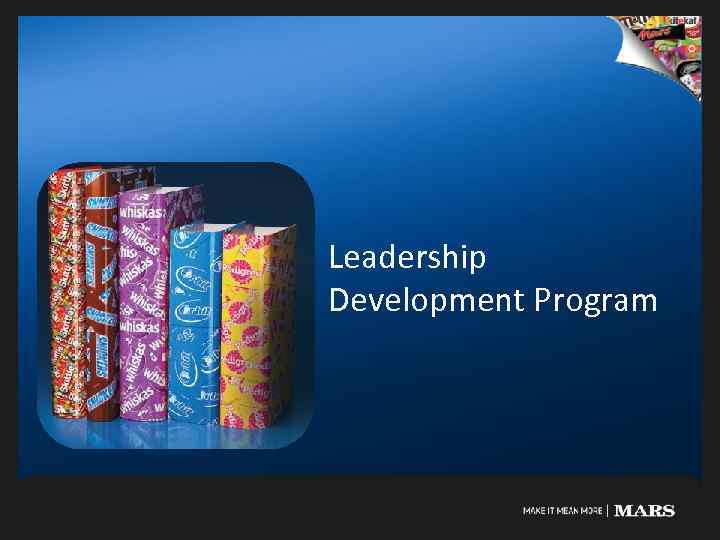 Leadership Development Program 