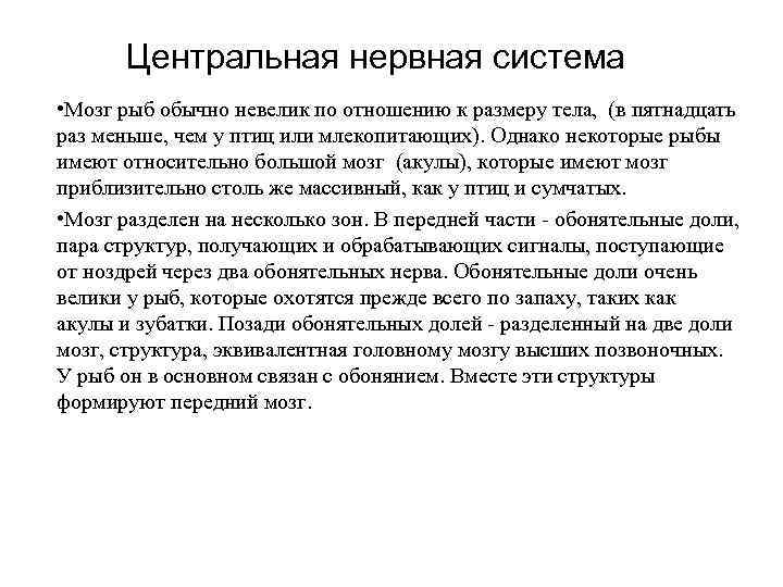 Центральная нервная система • Мозг рыб обычно невелик по отношению к размеру тела, (в