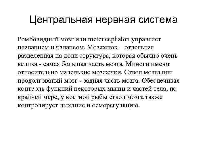Центральная нервная система Ромбовидный мозг или metencephalon управляет плаванием и балансом. Мозжечок – отдельная