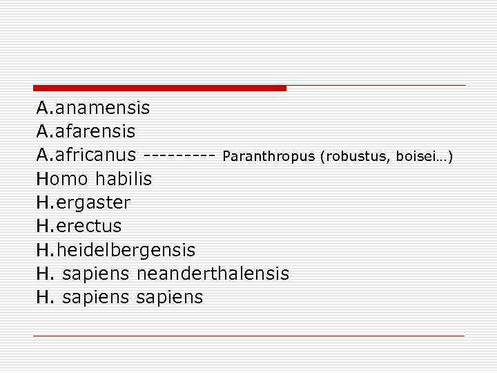 A. anamensis A. afarensis A. africanus ----- Paranthropus (robustus, boisei…) Homo habilis H. ergaster