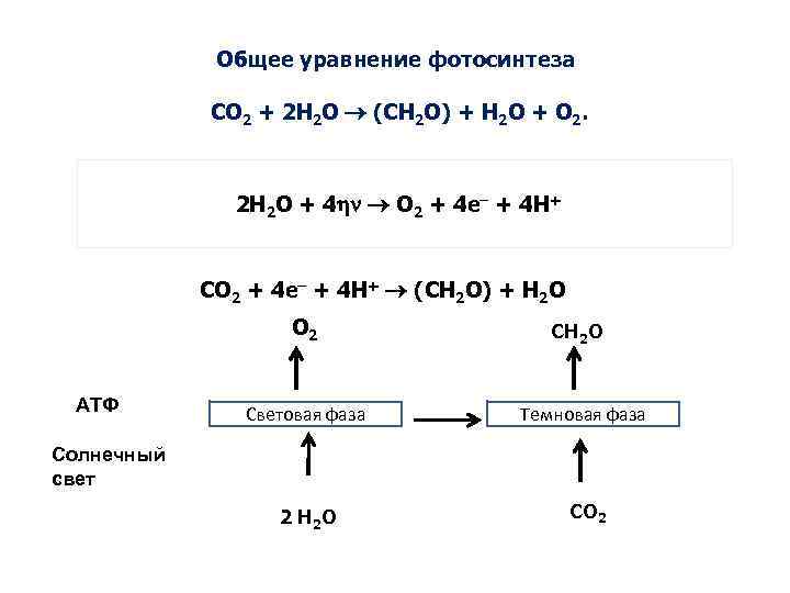 Общая схема превращений э эо2 н2эо3