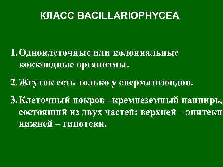 КЛАСС BACILLARIOPHYCEA 1. Одноклеточные или колониальные коккоидные организмы. 2. Жгутик есть только у сперматозоидов.