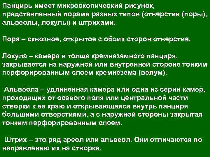 Панцирь имеет микроскопический рисунок, представленный порами разных типов (отверстия (поры), альвеолы, локулы) и штрихами.