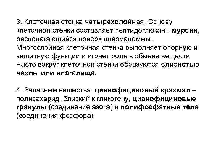 3. Клеточная стенка четырехслойная. Основу клеточной стенки составляет пептидоглюкан - муреин, располагающийся поверх плазмалеммы.