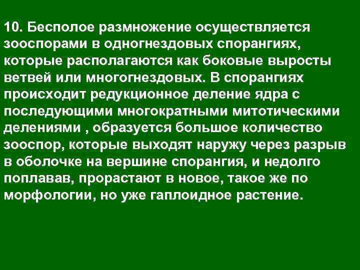10. Бесполое размножение осуществляется зооспорами в одногнездовых спорангиях, которые располагаются как боковые выросты ветвей