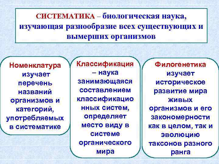 Наука изучающая разнообразие организма. Систематика биологических наук. Классификация наук в биологии. Систематика как биологическая наука.. Систематика это наука о классификации.