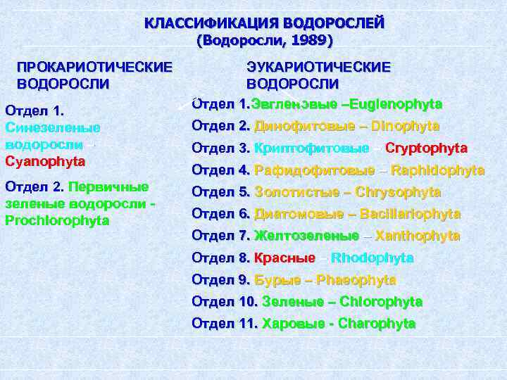 Какие признаки лежат в основе систематики водорослей