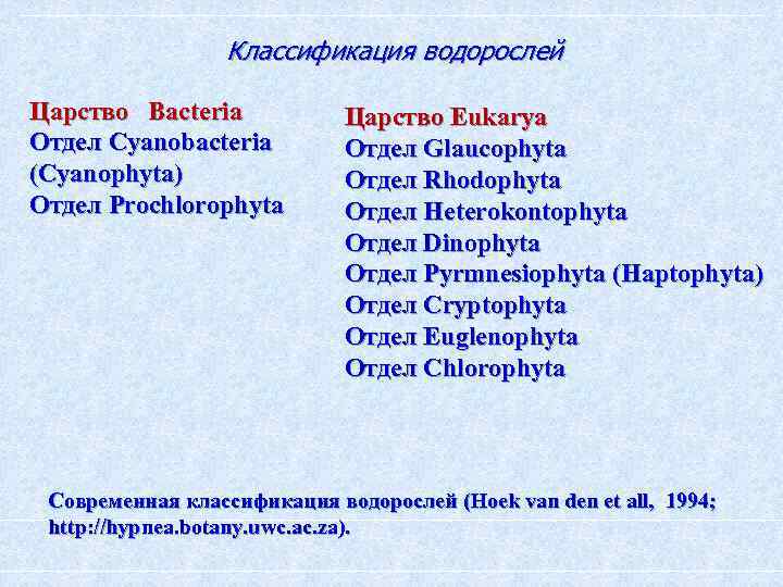 Классификация водорослей Царство Bacteria Отдел Cyanobacteria (Cyanophyta) Отдел Prochlorophyta Царство Eukarya Отдел Glaucophyta Отдел