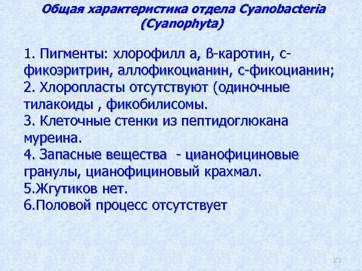 Общая характеристика отдела Cyanobacteria (Cyanophyta) 1. Пигменты: хлорофилл а, ß-каротин, cфикоэритрин, аллофикоцианин, c-фикоцианин; 2.
