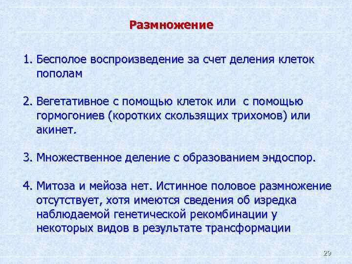 Размножение 1. Бесполое воспроизведение за счет деления клеток пополам 2. Вегетативное с помощью клеток