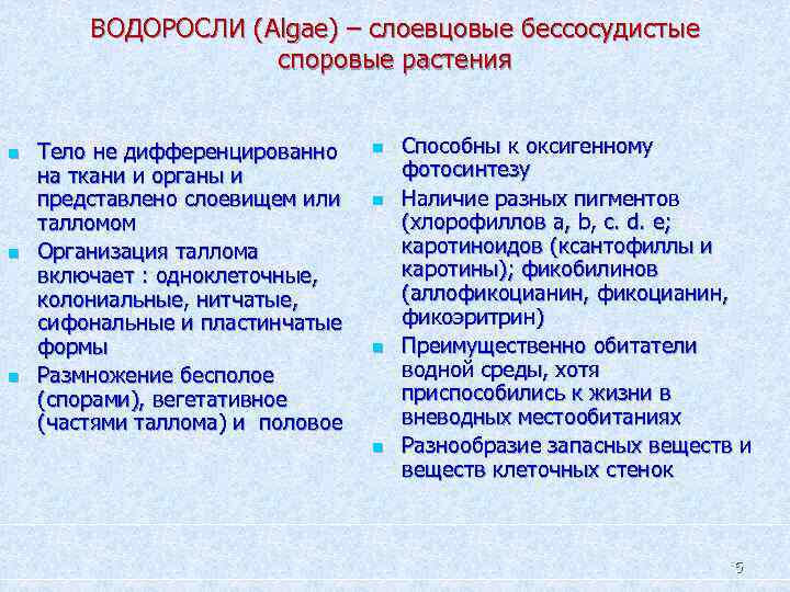 ВОДОРОСЛИ (Algae) – слоевцовые бессосудистые споровые растения n n n Тело не дифференцированно на