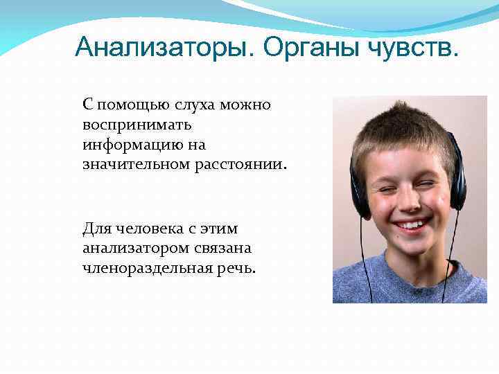 Анализаторы. Органы чувств. С помощью слуха можно воспринимать информацию на значительном расстоянии. Для человека