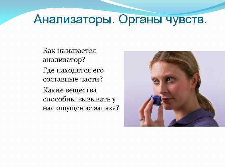 Анализаторы. Органы чувств. Как называется анализатор? Где находятся его составные части? Какие вещества способны