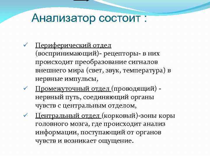 Анализатор состоит : ü ü ü Периферический отдел (воспринимающий)- рецепторы- в них происходит преобразование