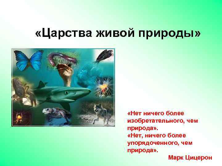  «Царства живой природы» «Нет ничего более изобретательного, чем природа» . «Нет, ничего более