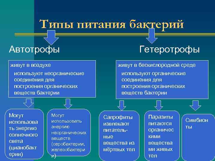 Типы питания бактерий Автотрофы Гетеротрофы живут в воздухе живут в бескислородной среде используют неорганические