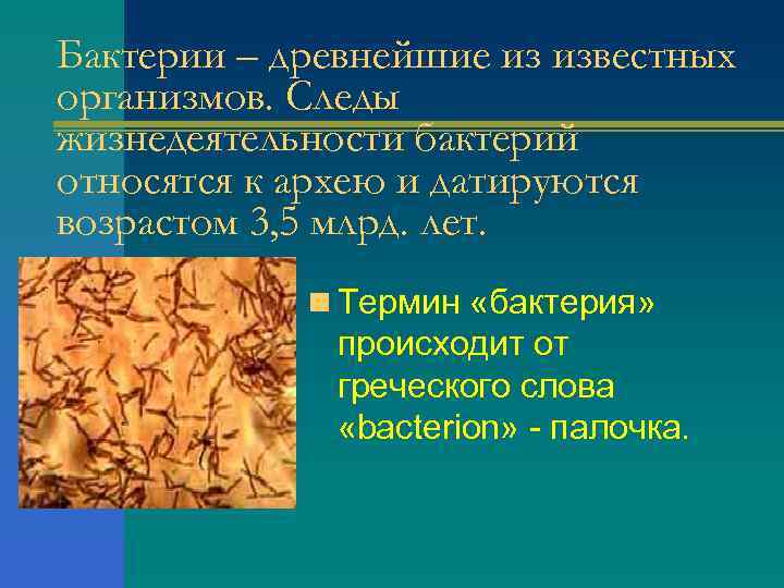 Бактерии – древнейшие из известных организмов. Следы жизнедеятельности бактерий относятся к архею и датируются