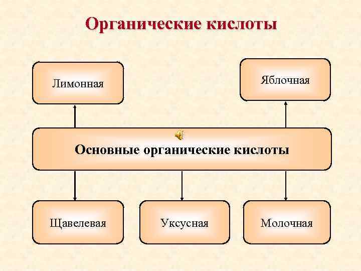 Органические кислоты Яблочная Лимонная Основные органические кислоты Щавелевая Уксусная Молочная 