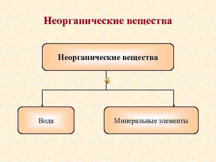 Неорганические вещества Вода Минеральные элементы 