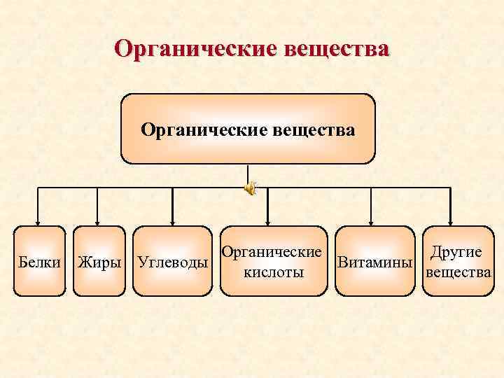 Органические вещества Органические Другие Витамины Белки Жиры Углеводы кислоты вещества 