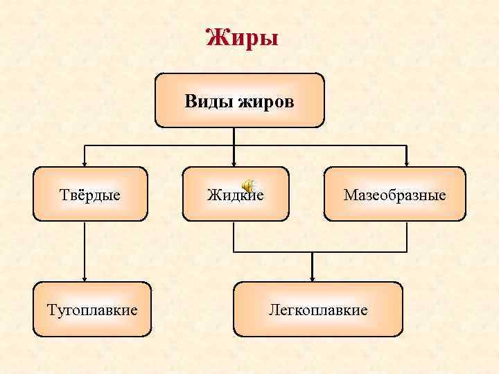 Жиры Виды жиров Твёрдые Тугоплавкие Жидкие Мазеобразные Легкоплавкие 