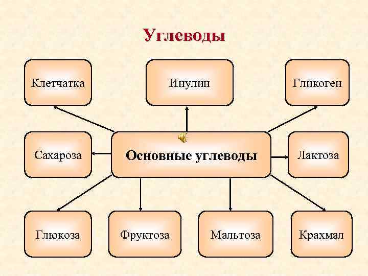 Углеводы Клетчатка Инулин Гликоген Сахароза Основные углеводы Лактоза Глюкоза Фруктоза Мальтоза Крахмал 