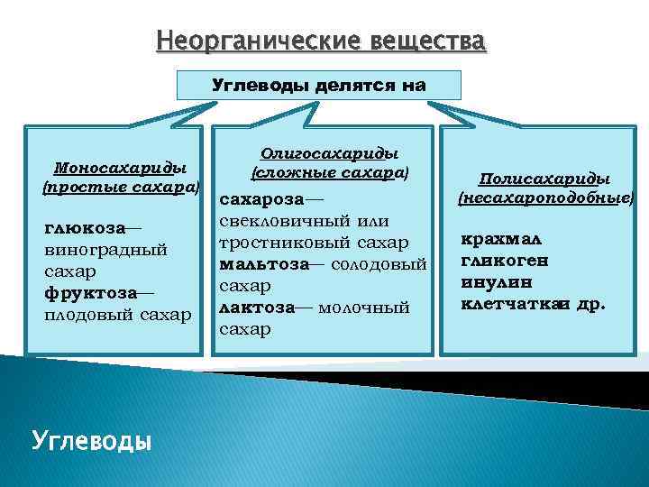 Неорганические вещества Углеводы делятся на Моносахариды (простые сахара) глюкоза— виноградный сахар фруктоза— плодовый сахар