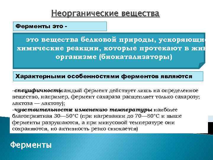 Неорганические вещества Ферменты это - это вещества белковой природы, ускоряющие химические реакции, которые протекают
