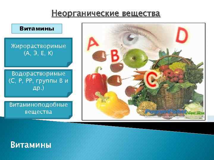 Неорганические вещества Витамины Жирорастворимые (А, Э, Е, К) Водорастворимые (С, Р, РР, группы В