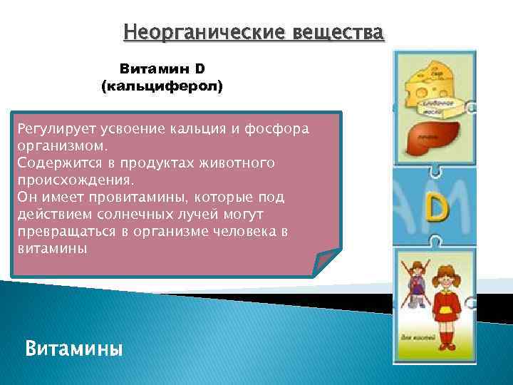 Неорганические вещества Витамин D (кальциферол) Регулирует усвоение кальция и фосфора организмом. Содержится в продуктах