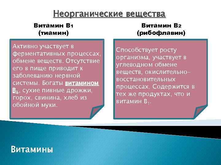 Неорганические вещества Витамин В 1 (тиамин) Активно участвует в ферментативных процессах, обмене веществ. Отсутствие