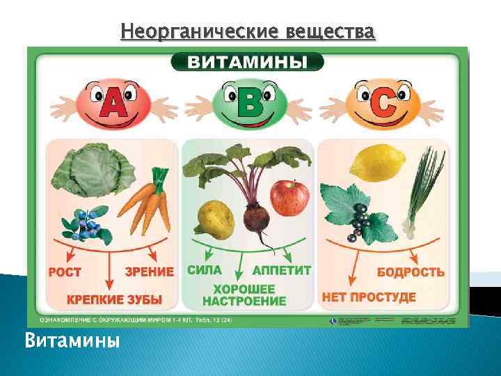 Неорганические вещества Витамины 
