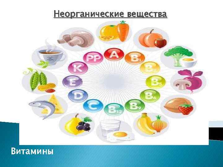 Неорганические вещества Витамины 