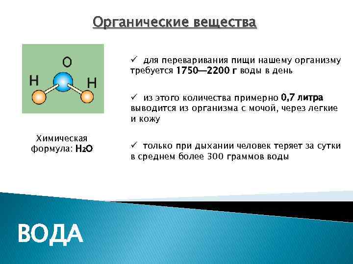Органические вещества ü для переваривания пищи нашему организму требуется 1750— 2200 г воды в