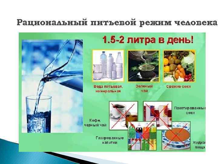 Рациональный питьевой режим человека 