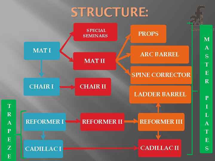 STRUCTURE: SPECIAL SEMINARS MAT II PROPS ARC BARREL SPINE CORRECTOR CHAIR II LADDER BARREL