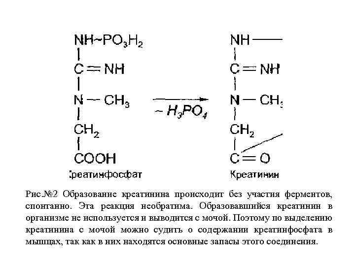 Срок годности креатинина