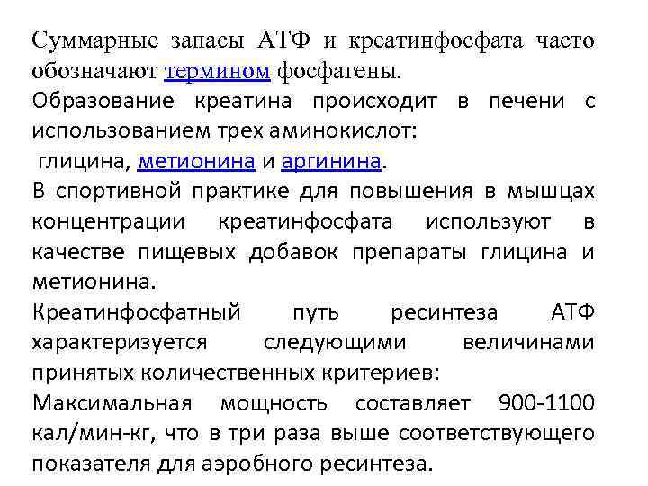 Суммарные запасы АТФ и креатинфосфата часто обозначают термином фосфагены. Образование креатина происходит в печени