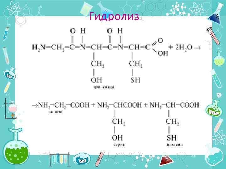 Схема гидролиза трипептида
