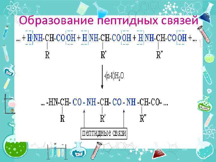 Образование пептидных связей 