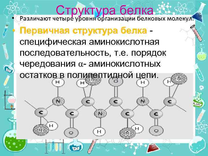  • Структура белка молекул: Различают четыре уровня организации белковых • Первичная структура белка