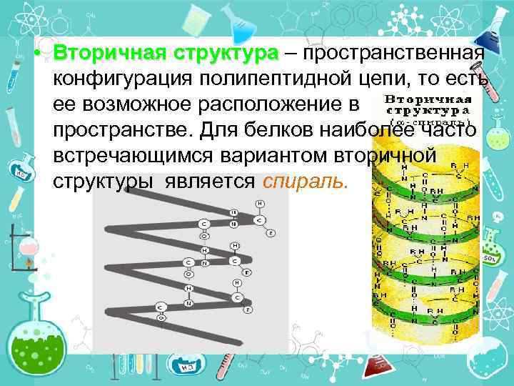  • Вторичная структура – пространственная конфигурация полипептидной цепи, то есть ее возможное расположение