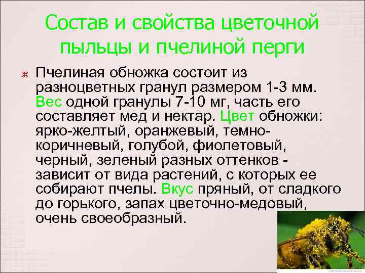 Состав и свойства цветочной пыльцы и пчелиной перги Пчелиная обножка состоит из разноцветных гранул