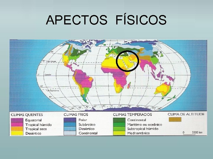 APECTOS FÍSICOS 