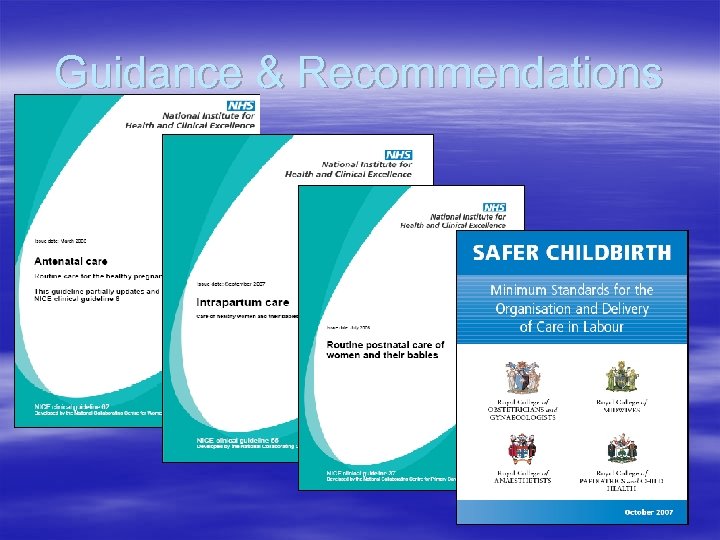 Guidance & Recommendations 