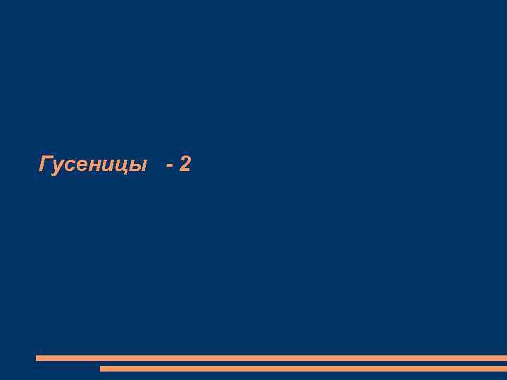 Гусеницы - 2 