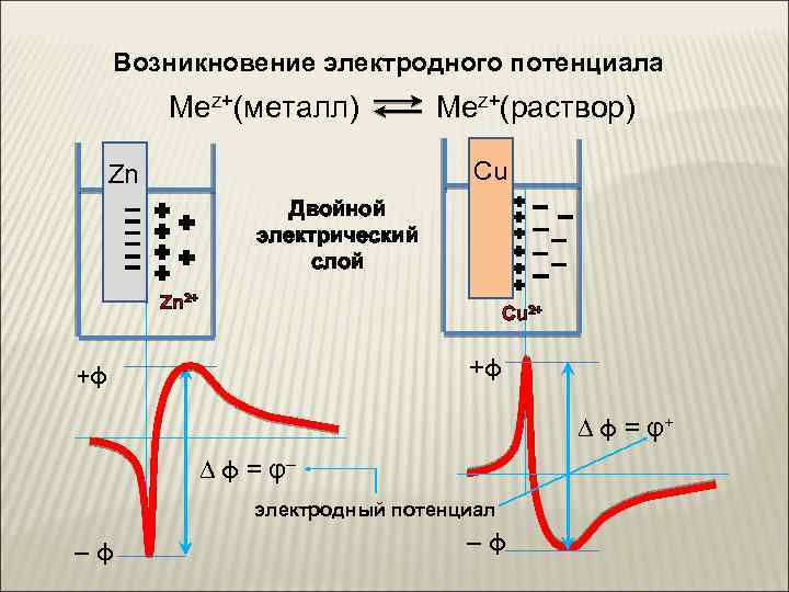 Возникновение электродного потенциала Mez+(металл) Mez+(раствор) Cu Zn Двойной электрический слой Zn 2+ Cu 2+