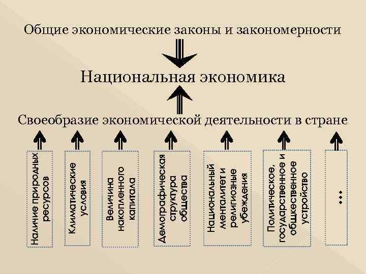 … Политическое, государственное и общкественное устройство Национальный менталитет и религиозные убеждения Демографическая структура общества