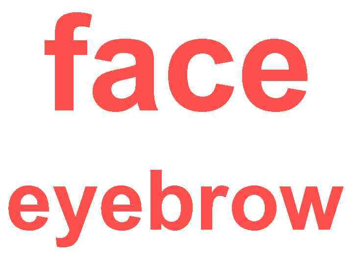 face eyebrow 