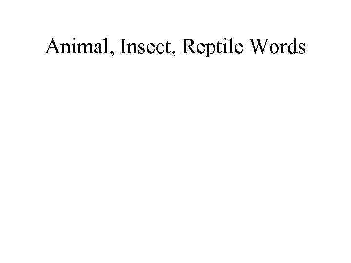 Animal, Insect, Reptile Words 